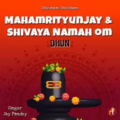 Mahamritunjay And Shivaya Namah Om - Dhun